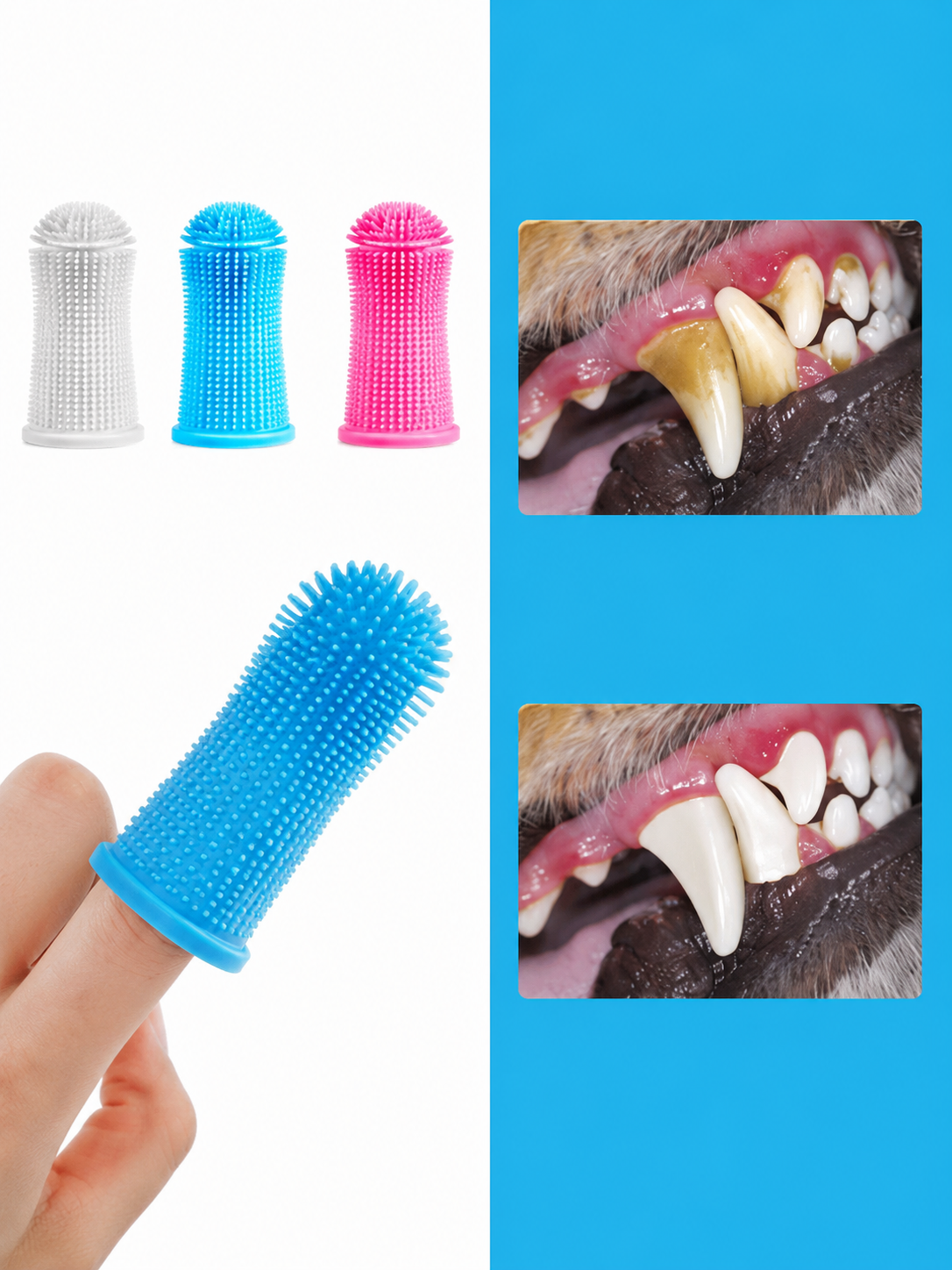 Dog Teeth Scrubber